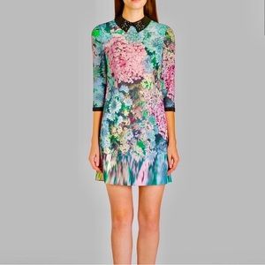 Ted Baker London Tea Garden Flowered Print Mini Dress with Jeweled Collar